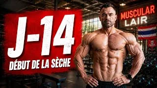 Miniature : Le compte à rebours est lancé ! | OLYMPIA PREP 2026