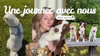 Miniature : Une journée dans notre quotidien 🐾📦✨