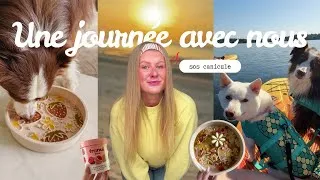 Miniature : Une journée avec nous pour survivre à la canicule 🥵🌞