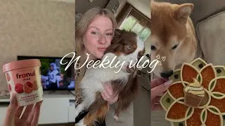 Miniature : WEEKLY VLOG - semaine pluvieuse 🌧️