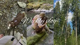 Miniature : WEEKLY VLOG - On fait une randonnée féérique 🧚💚