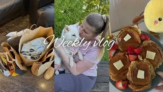 Miniature : WEEKLY VLOG - Une semaine dans notre quotidien + haul 🌸🛍️