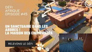 Miniature : UN SANCTUAIRE DANS LES ARBRES ! 🐒 La maison des Chimpanzés (Ep.45)