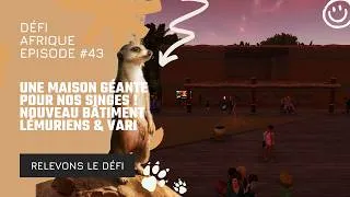 Miniature : UNE MAISON GÉANTE POUR NOS SINGES ! 🐒 Nouveau bâtiment Lémuriens (Ep.43)