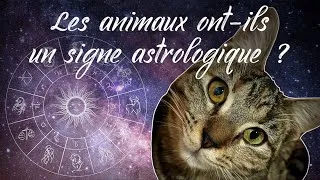 Miniature : L'astrologie influence-t-elle nos animaux ? - Comète Fun Episode 1