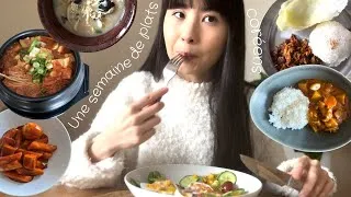Miniature : 🇰🇷7 jours de plats coréens en france ! 🇫🇷