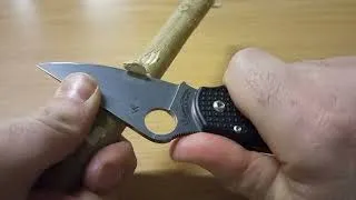 Miniature : Para 3 coupe sur bois sec