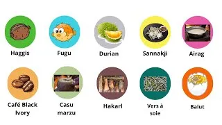 Miniature : Top 10 des aliments les plus bizarres