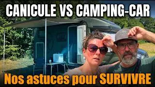 Miniature : CANICULE EN CAMPING-CAR : Nos Astuces Pour Protéger Nos Chiens et Nous-Mêmes