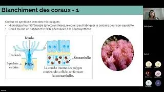 Miniature : Formation du dimanche - Physique et cycle biogéochimique de l’océan