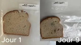 Miniature : Quand les mains propres contaminent: analyse d’un résultat inattendu | SCIENCE VIDEO CHALLENGE 2026