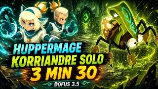 Miniature : Huppermage Dofus 3.5 : Korriandre solo en 3 min 30, vidéo complète du boss