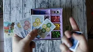 Miniature : Présentation de Takenoko