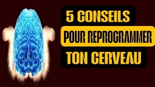 Miniature : Comment Reprogrammer Son Cerveau Comme un Expert en Neurosciences