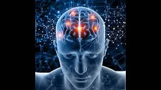 Miniature : Détente du système nerveux - Nettoyer le cerveau pendent le sommeil