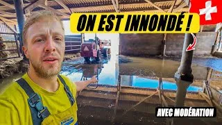 Miniature : LES TAUREAUX SONT AMPHIBIES ! + Des bricoles 