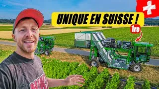 Miniature : MAIS C'EST QUOI CETTE MACHINE ? 😲 