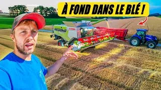 Miniature : SUITE MOISSON DES BLÉS ! (rigolade assurée)