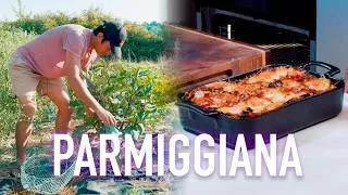 Miniature : J'ai fait pousser mes aubergines pour CETTE recette