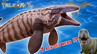 Miniature : Paléoactu: Nouveau T.rex des mers, Spinosaure marin