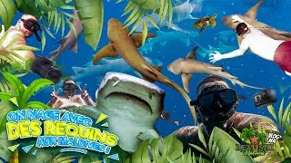 Miniature : ON NAGE AVEC DES REQUINS AU MALDIVES !