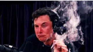 Miniature : Elon musk est completement fou ?