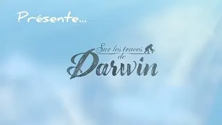 Miniature : Sur les traces de Darwin : expli-partie du jeu 🦎🐊🦩🧭⛵️