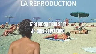 Miniature : Imbécile Heureux - Arnaud Fleurent-Didier - Karaoke - Instrumental