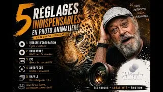 Miniature : 5 réglages indispensables en photo animalière (guide complet débutant)