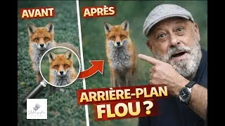 Miniature : Comment avoir un arrière plan flou en photo animalière