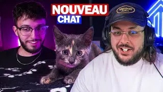 Miniature : Je vais adopter un nouveau chat ! (ft Kada)