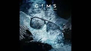 Miniature : GIMS - comète (extrait)