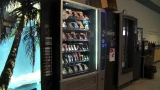 Miniature : La santé publique et l'éducation au Québec.