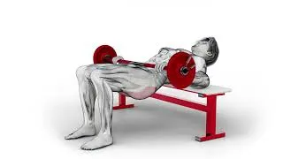 Miniature : Hip thrust