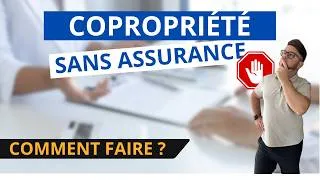 Miniature : Une copropriété sans assurance : quels sont les risques ?