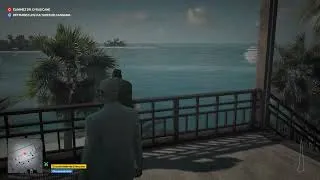 Miniature : Hitman 2. L'herboriste / Snoop Dog. Défis: La chute. AS (short)
