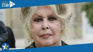 Miniature : Brigitte Bardot “horrifiée” : elle pousse un cri du coeur pour sauver un ami cher à son coeur