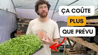 Miniature : Micropousses : les 7 coûts cachés qui ruinent les débutants