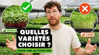 Miniature : Certaines micropousses ont l’air rentables… mais elles vous font perdre du temps