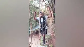Miniature : meme of the year