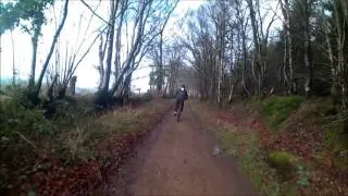 Miniature : Vélo dans les chemins avec un pote