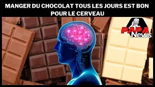 Miniature : Manger du chocolat tous les jours est bon pour le cerveau