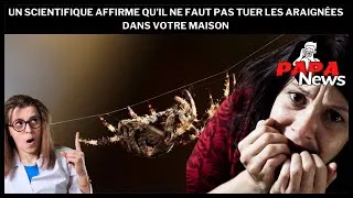 Miniature : Un scientifique affirme qu’il ne faut pas tuer les araignées dans votre maison