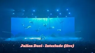 Miniature : Julien Doré - Interlude (live)