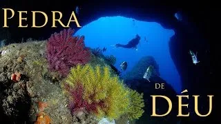Miniature : L'Estartit - Pedra de Déu, "Magic Dive"