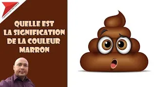 Miniature : Quelle est la signification de la couleur marron ?