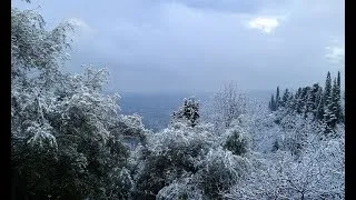 Miniature : Le   Var sous la neige Callian