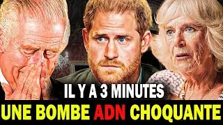 Miniature : Le Prince Harry pleure après que les résultats ADN prouvent que le Roi Charles est son père