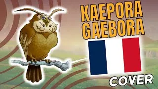 Miniature : The legend of Zelda: Ocarina of Time - Kaepora Gaebora Theme // Cover avec paroles (Français)