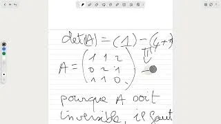 Miniature : «  Avec cette méthode l’inverse d’une matrice devient très facile*